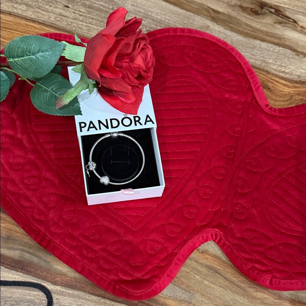 Pandora Silver Charm Bracelet with two charms